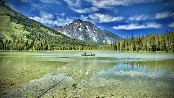 Jackson Hole, Wyoming: A Summer Paradise