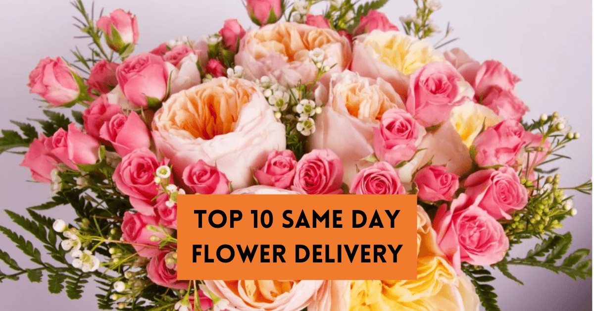 7 Tips for Same Day Flower Delivery in Delhi